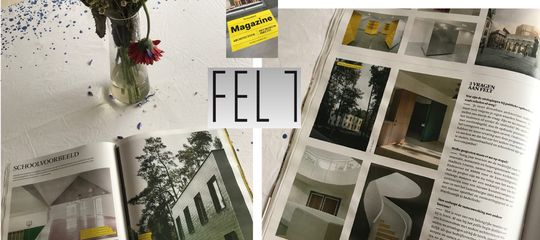 DS Magazine - FELT Architecten (Villa Kameleon) in de spotlights