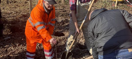 Meer dan 500 jonge planten op domein Monnikenheide