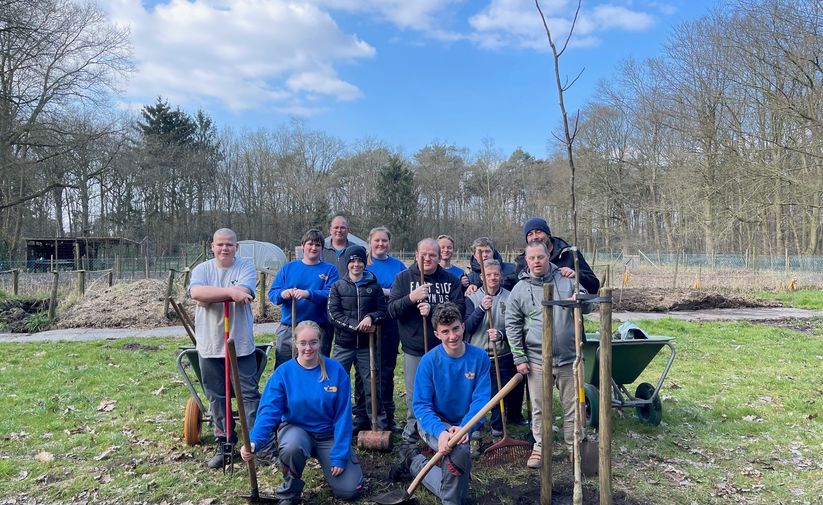 Van boom tot olie: notenbomen op Monnikenheide