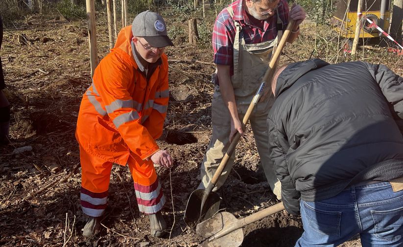 Meer dan 500 jonge planten op domein Monnikenheide
